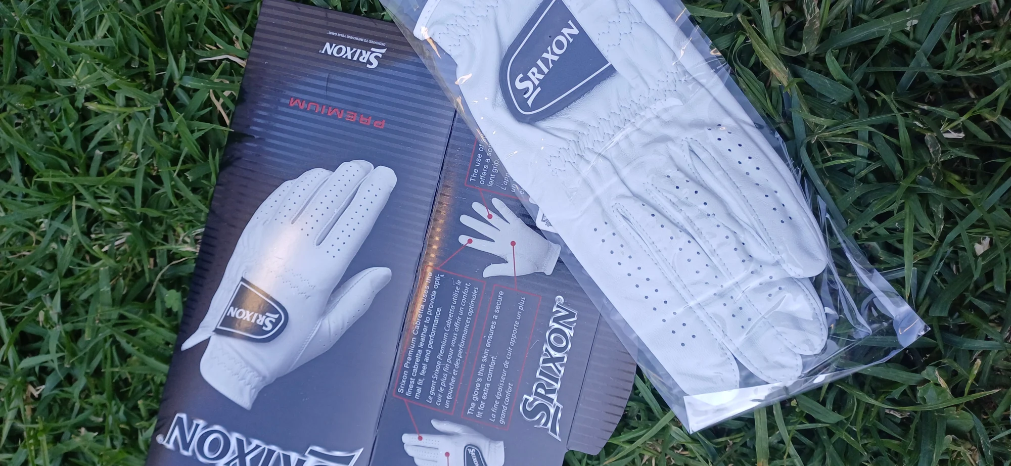 Srixon Cabretta leather glove M/L