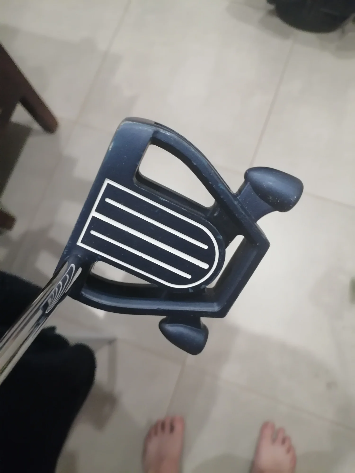 Roy Cook putter